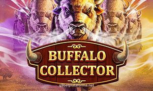 Imagem do jogo Buffalo Collector